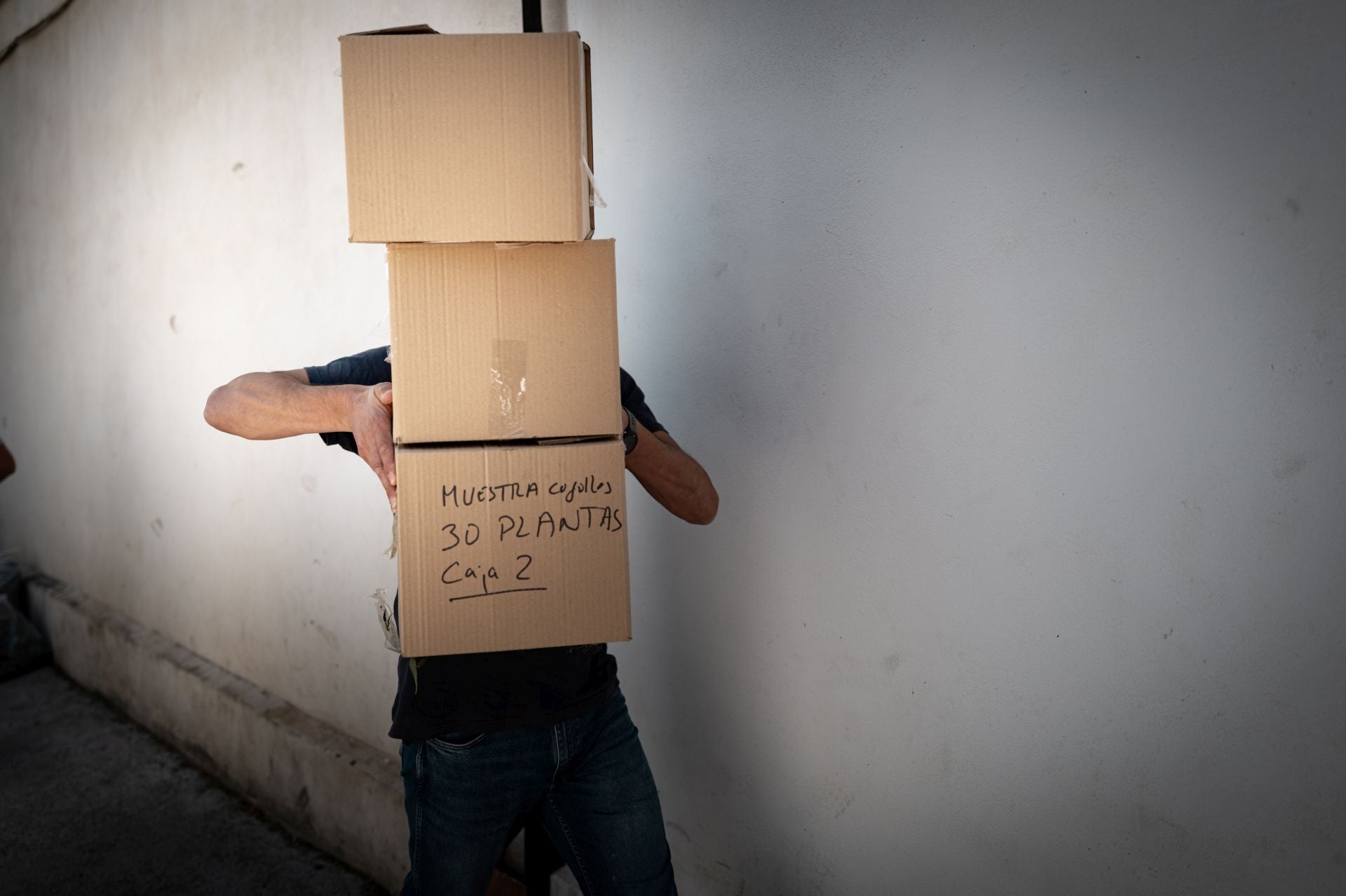 Las imágenes de la operación contra el narcotráfico en Ogíjares