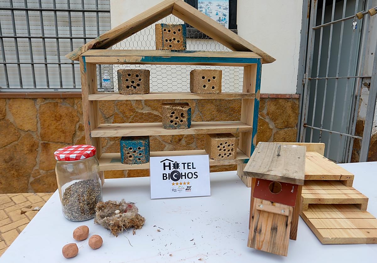 Imagen principal - Arriba, algunos de los productos ambientales del proyecto de IDEA. Abajo, una bomba de semillas ya germinada y huevos de pájaro de una puesta en el interior de una caja-nido. 