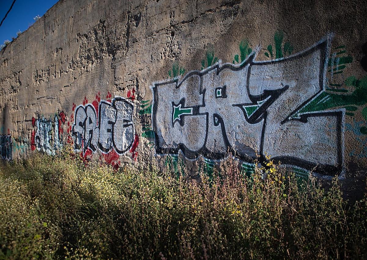 Imagen secundaria 1 - Pintadas en la muralla de la Alberzana. 