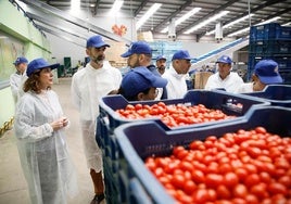 Pacheco valora el impulso de la Junta al cultivo natural con una nueva Ley de Producción Ecológica ya en trámite