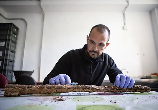 Labores de limpieza de la escopeta.