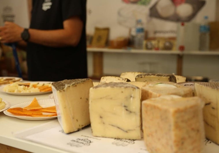 «Alerta grave» de Europa por listeria en un famoso queso fabricado en España