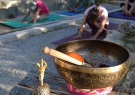 Un grupo de personas practican yoga al aire libre.