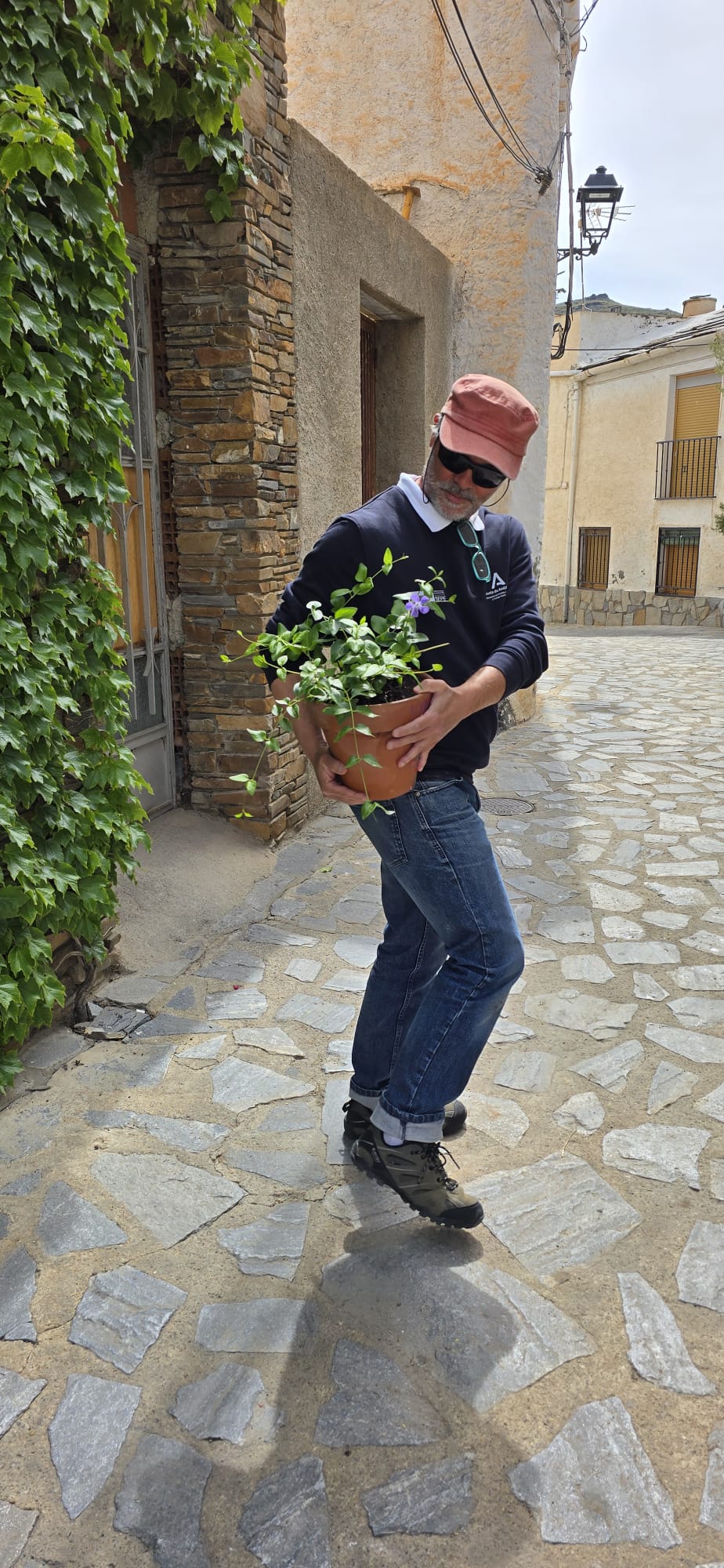 La ruta literaria de flores y poemas de Velefique, en imágenes
