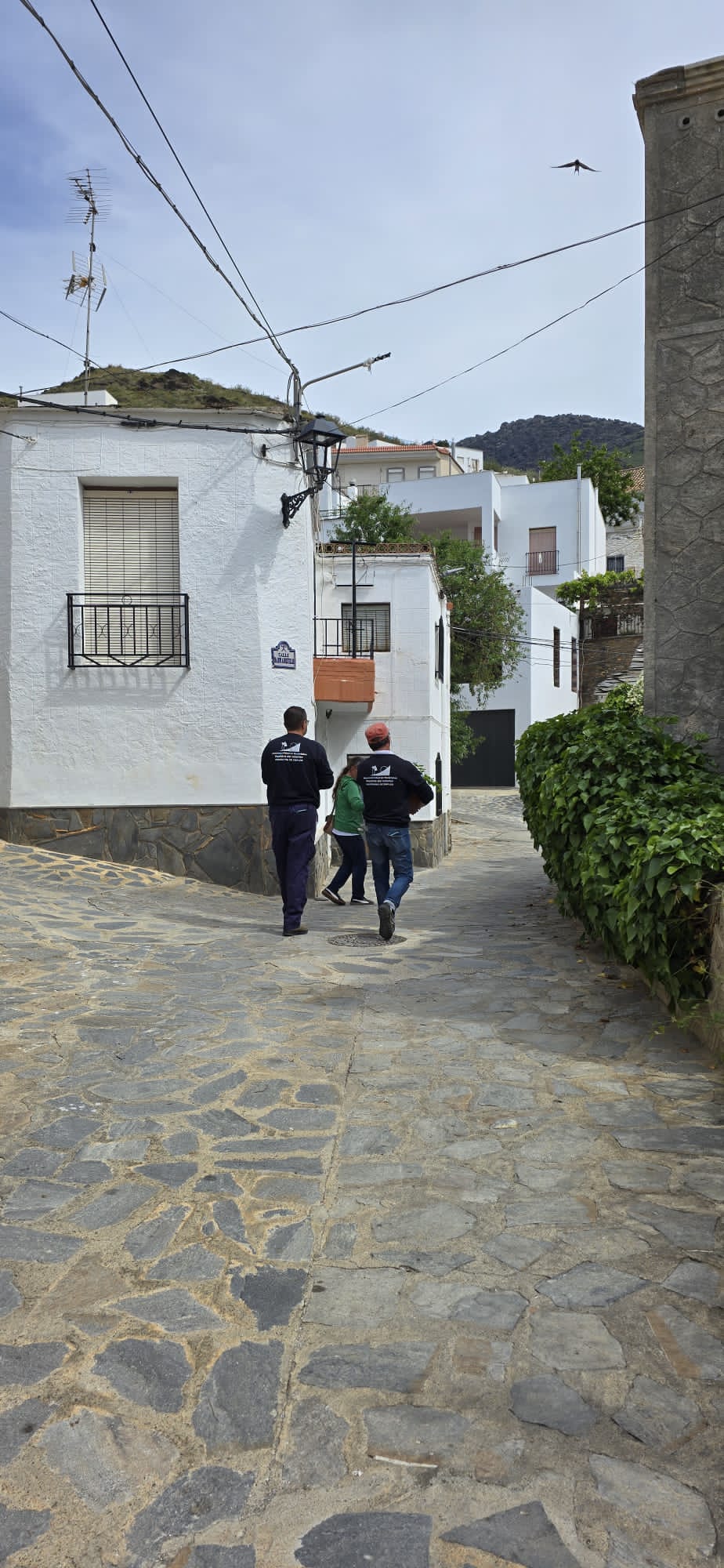 La ruta literaria de flores y poemas de Velefique, en imágenes