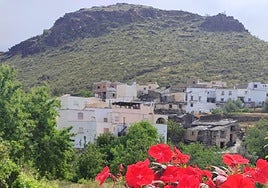 La ruta literaria de flores y poemas de Velefique, en imágenes