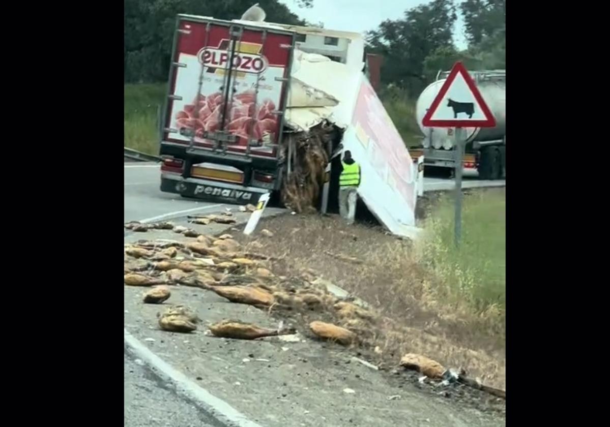 Un accidente deja decenas de jamones tirados en una carretera de Andalucía