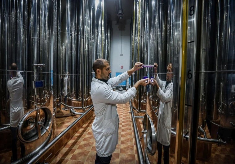 El precio del aceite vuelve a caer al suelo 16 meses después de tocar techo
