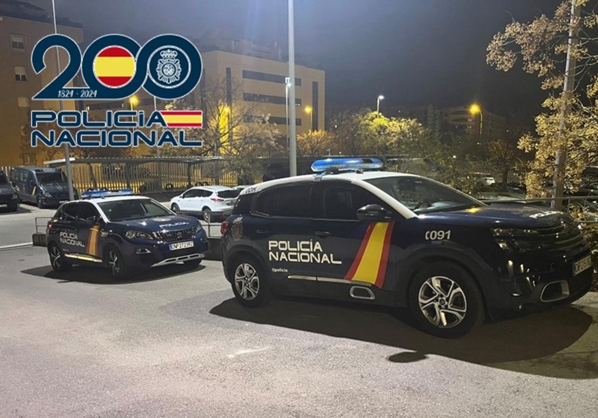 Roban dos grandes estufas de un restaurante del centro de Granada y las 'pasean' en el maletero