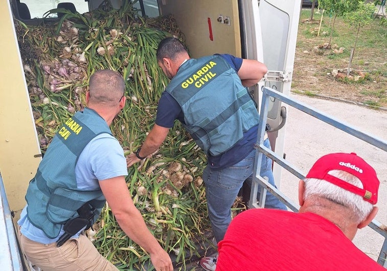 Detenido tras robar 2.000 kilos de ajos Huétor Tájar gracias a un guarda rural