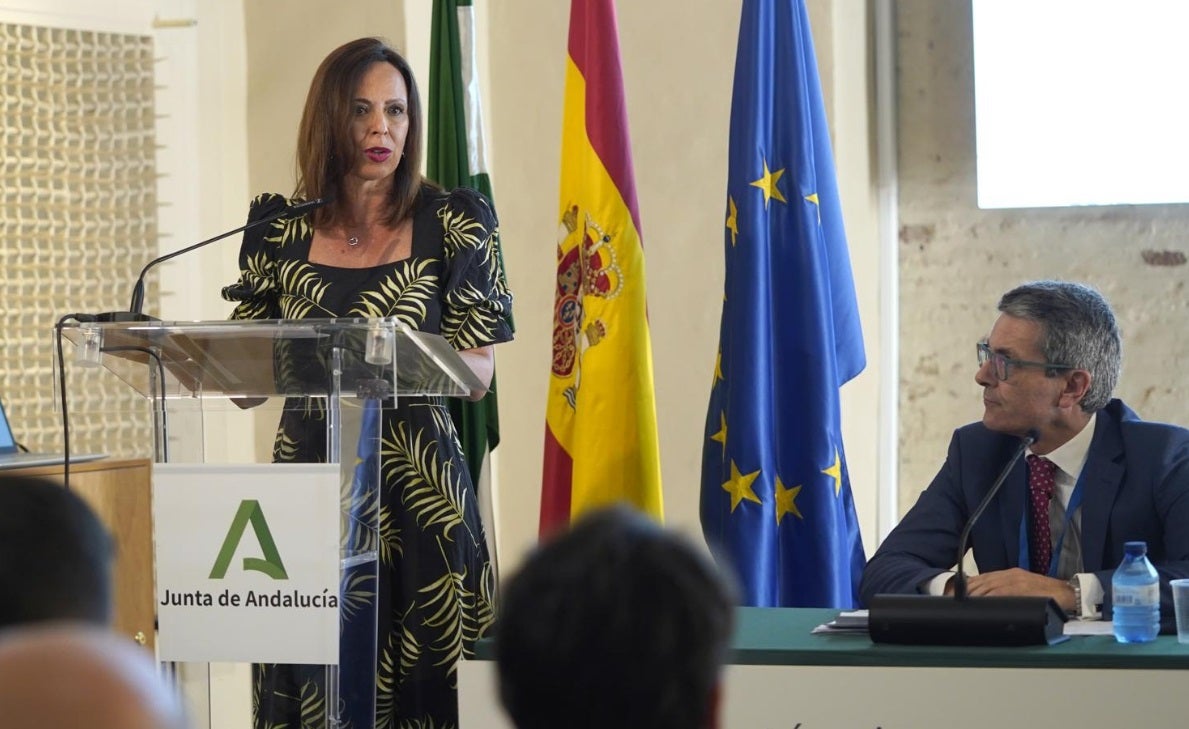 Rocío díaz valora la eficacia del modelo andaluz de conservación de carreteras frente al cambio climático | ideal