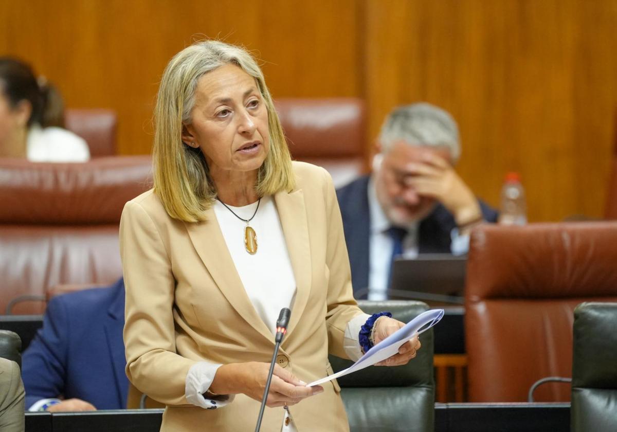 Salud destaca que el sas cuenta con «el mayor número de profesionales» de enfermería de su historia en andalucía | ideal