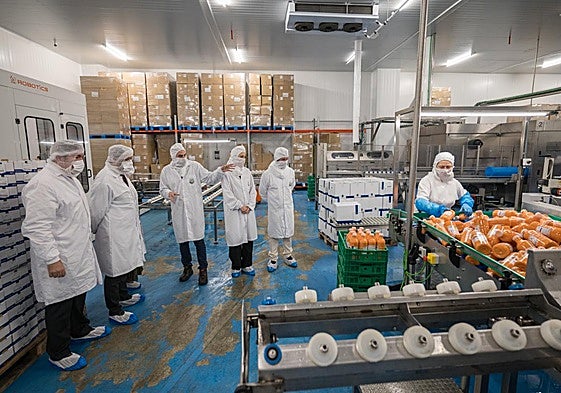 La Caña Nature, S.L. compende una división del Grupo Empresarial La Caña dedicada a la elaboración de guacamole, salmorejo, gazpacho y tomate rallado, salsa de tomate mexicana y pulpa de aguacate.