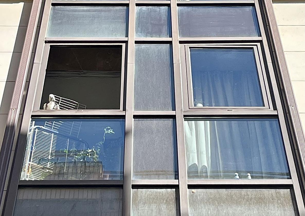 Serafín, asomado por la ventana de su casa.