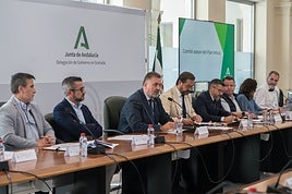 Presentación del plan contra los incendios forestales en la sede de la Junta en Granada.