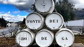 Cómo visitar la bodega que se encuentra en una antigua almazara de aceite