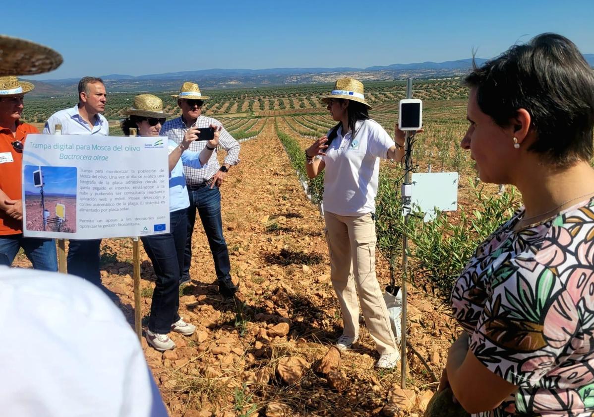 Sesión demostrativa del proyecto Demofarm en una finca de Arquillos.