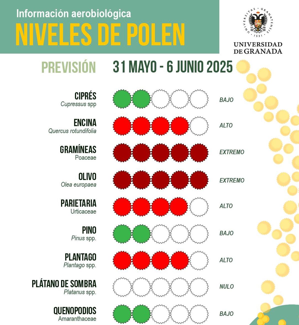 La atmósfera de granada continúa registrando niveles extremos de granos de polen | ideal
