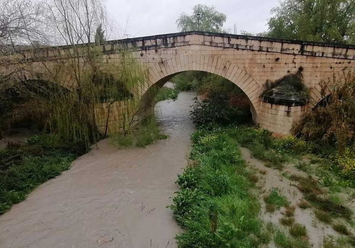 En fase de supervisión técnica por la junta el colector para los puentes | ideal