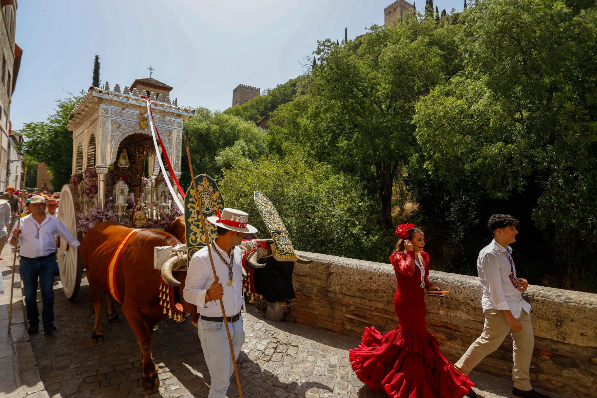 Granada pone en marcha 700 peregrinos y 55 carretas para El Rocío