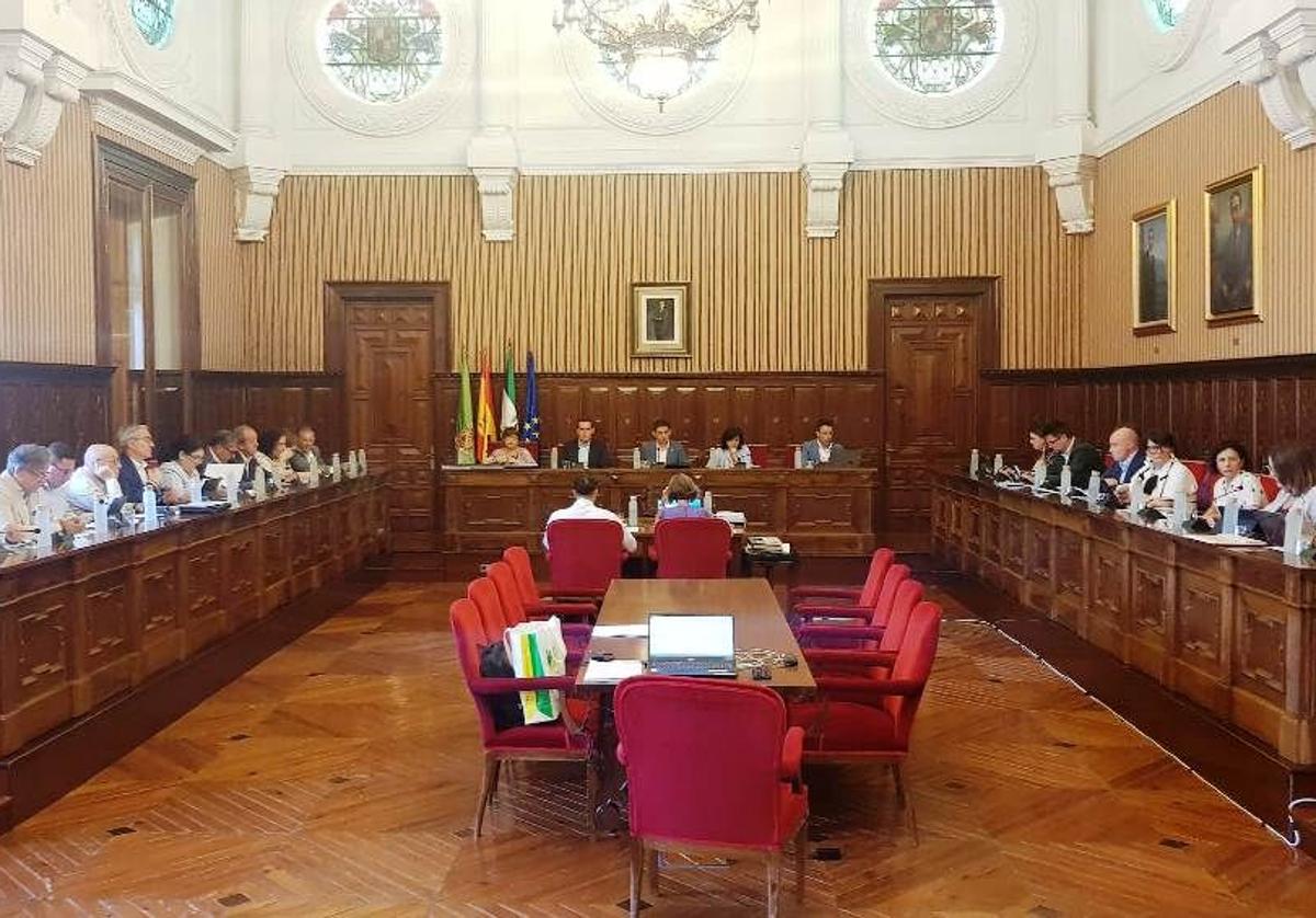 Pleno ordinario celebrado este lunes en la Diputación de Jaén.