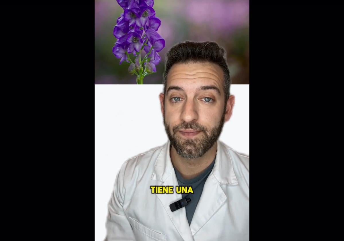 Aviso de un farmacéutico por la planta más toxica de europa: «puede matar en minutos» | ideal