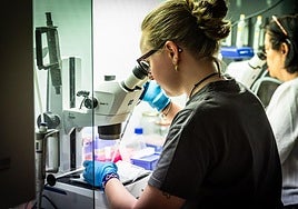 Cae el paro en 687 personas en Almería durante el mes de mayo y alcanza la cifra más baja desde 2008