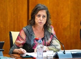 La consejera de Sostenibilidad y Medio Ambiente de la Junta de Andalucía, Catalina García.