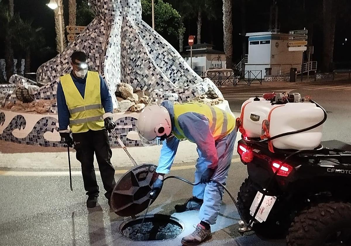 Plan de choque en Almuñécar para el control de insectos y roedores