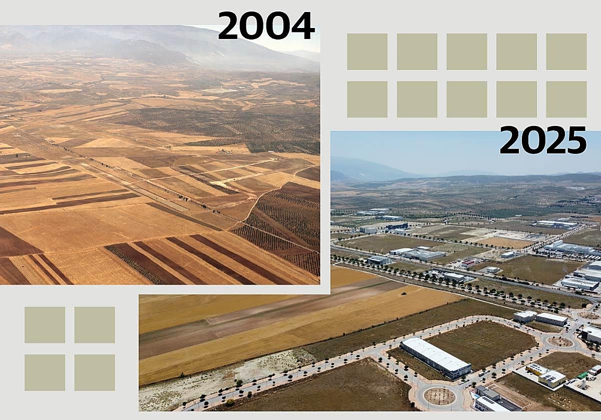 La historia del origen de la Citai y los tres aciertos que la salvaron de la quiebra