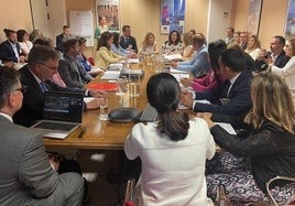 Imagen de la presentación del proyecto.
