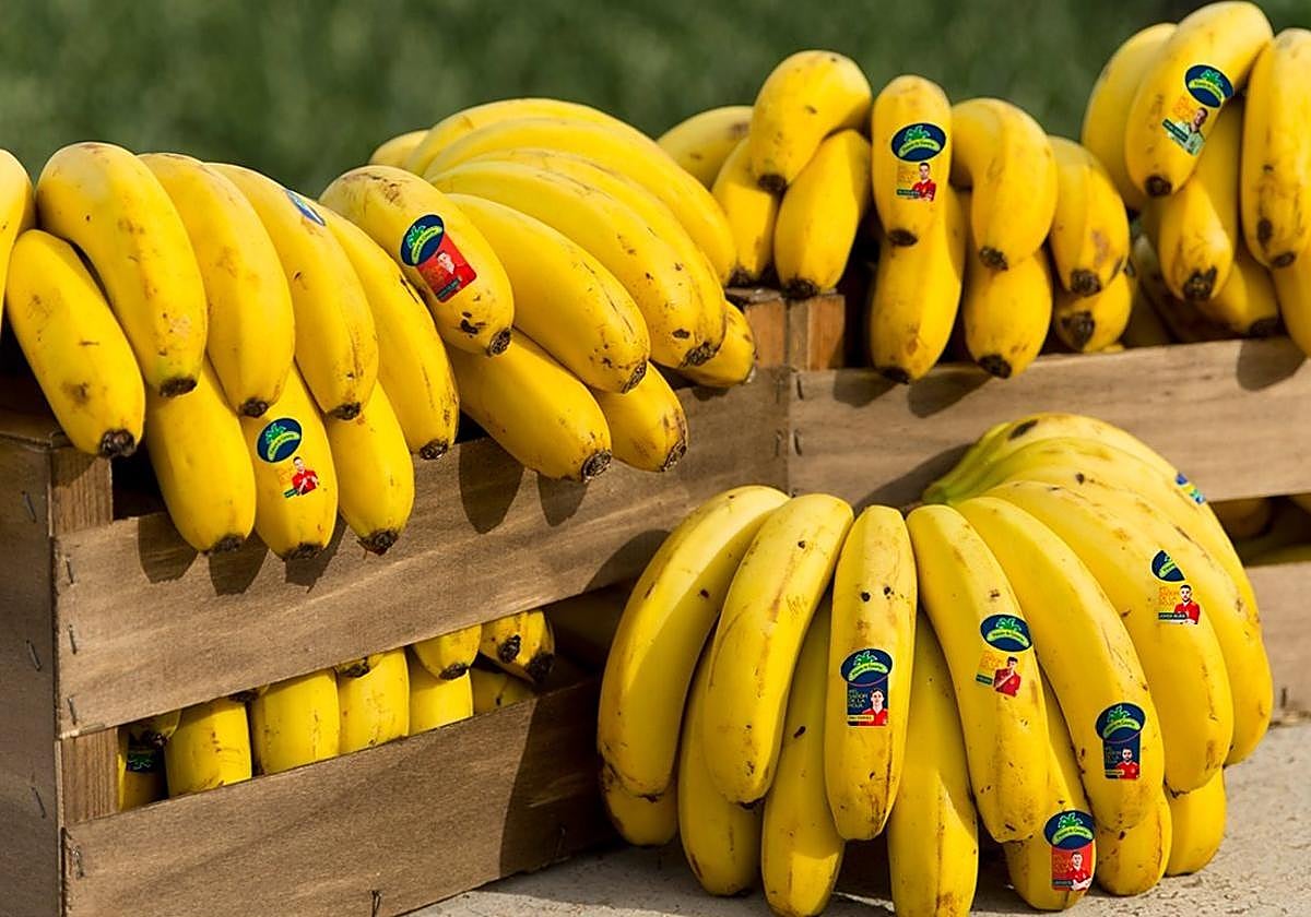 El precio del pátano de Canarias se dispara