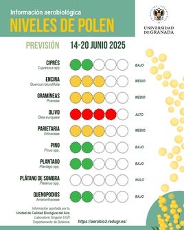 El bajón en los niveles de polen en la ciudad de Granada: consulta cada uno