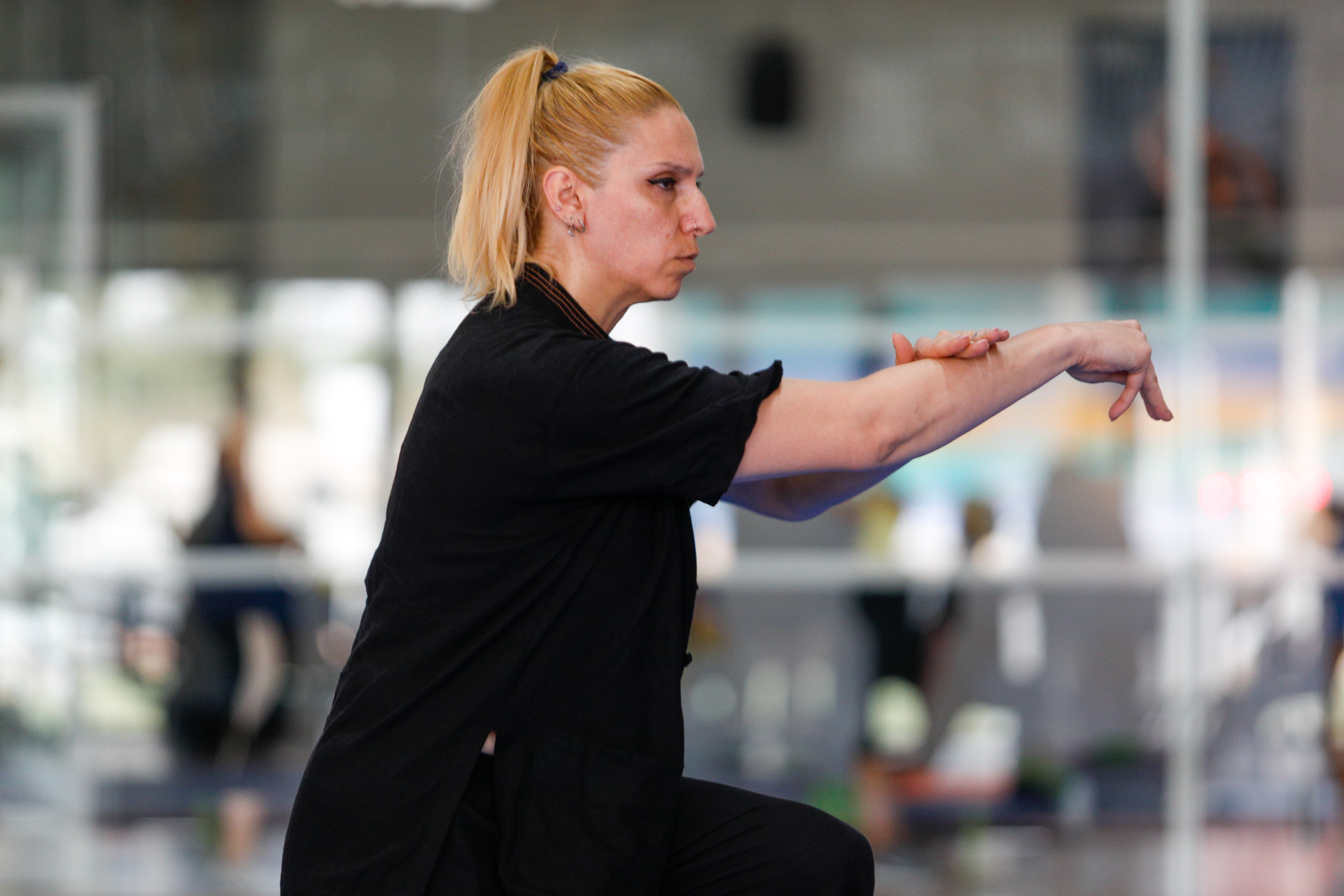 Fiesta del kung-fu de Andalucía