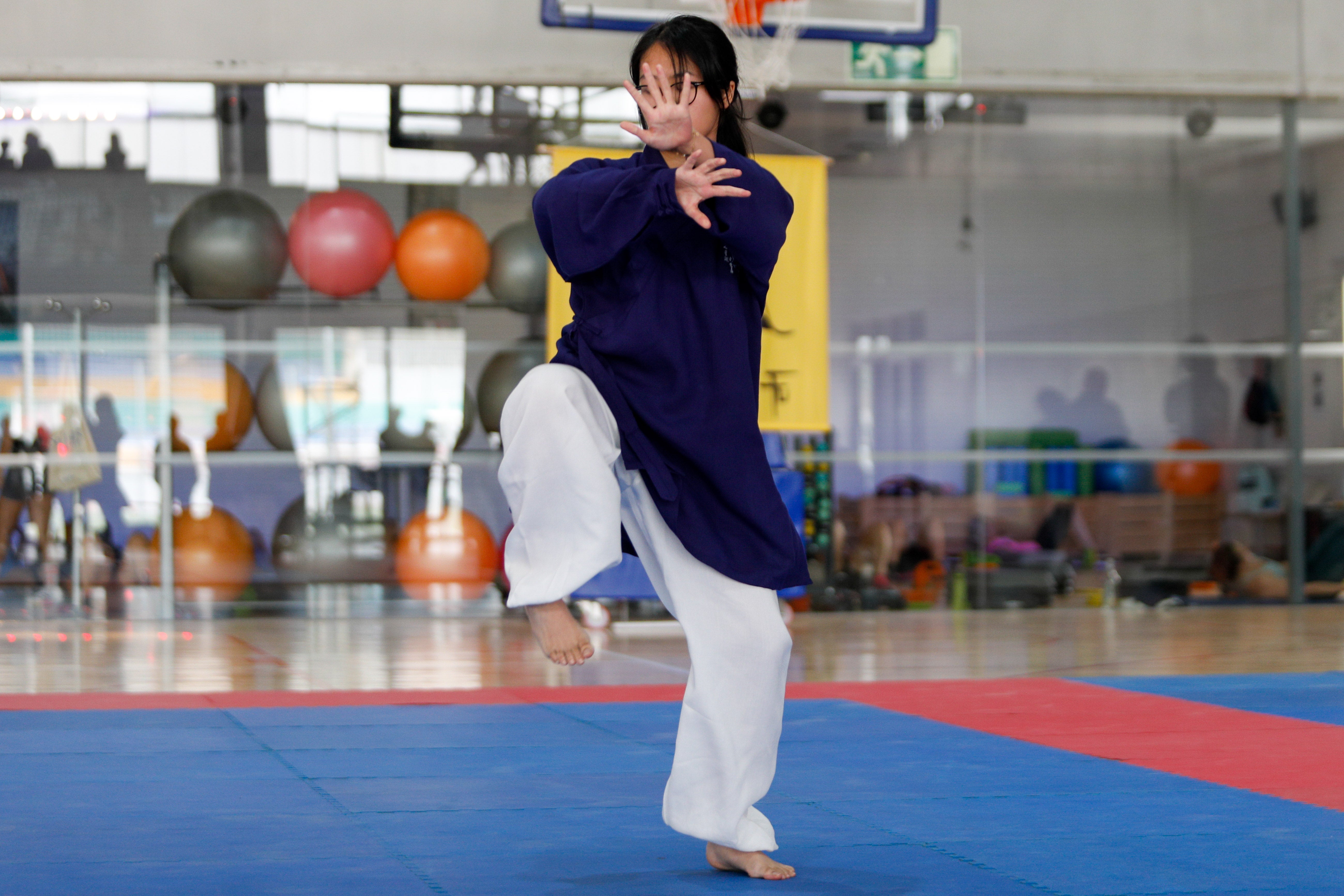 Fiesta del kung-fu de Andalucía