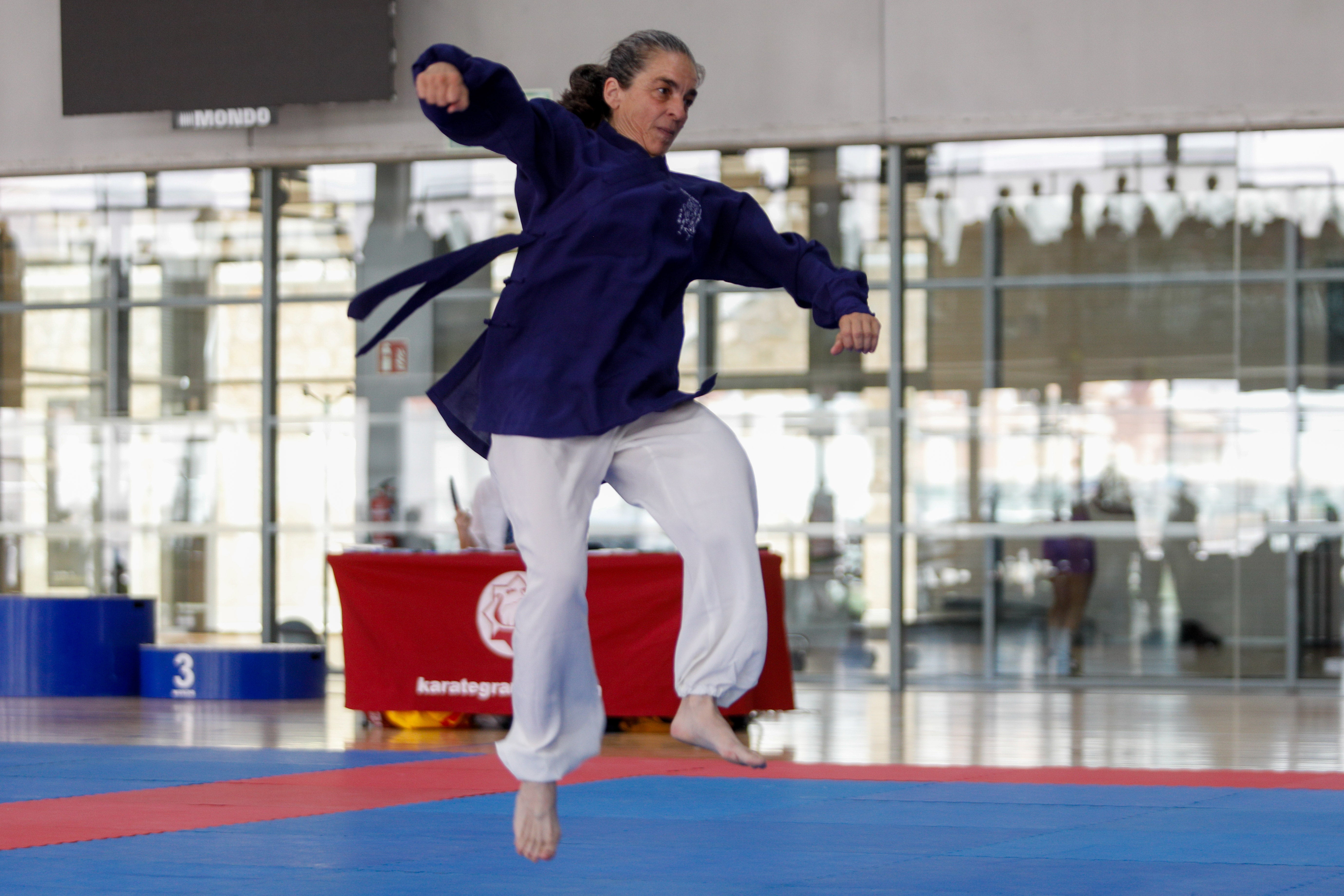Fiesta del kung-fu de Andalucía