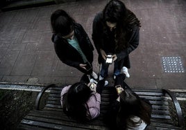 Cuatro jóvenes miran sus móviles en un parque.