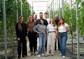 GrodiTech: robótica y drones made in Almería al servicio de la agricultura