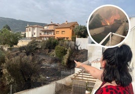 Imágenes del incendio y de cómo quedó el terreno.