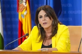 La portavoz adjunta del Grupo Parlamentario Socialista, Ángeles Férriz,