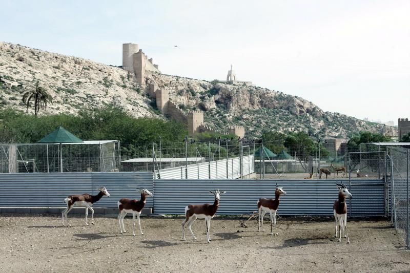 Imagen de archivo de la finca de la EEZA de Almería.