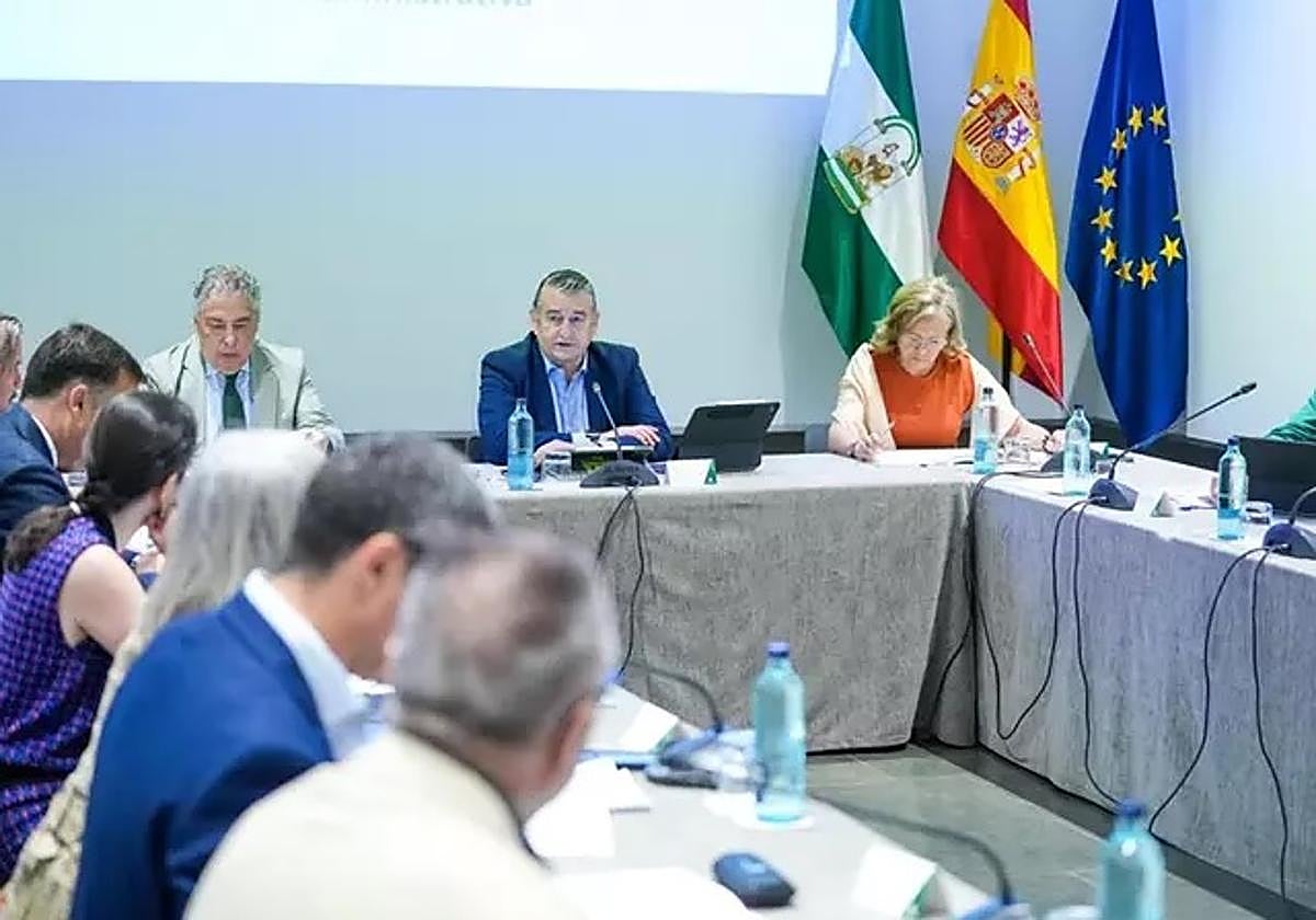 Antonio Sanz presidiendo en el Palacio de San Telmo, la reunión de constitución de la Comisión Interdepartamental Andaluza de Ayuda Humanitaria