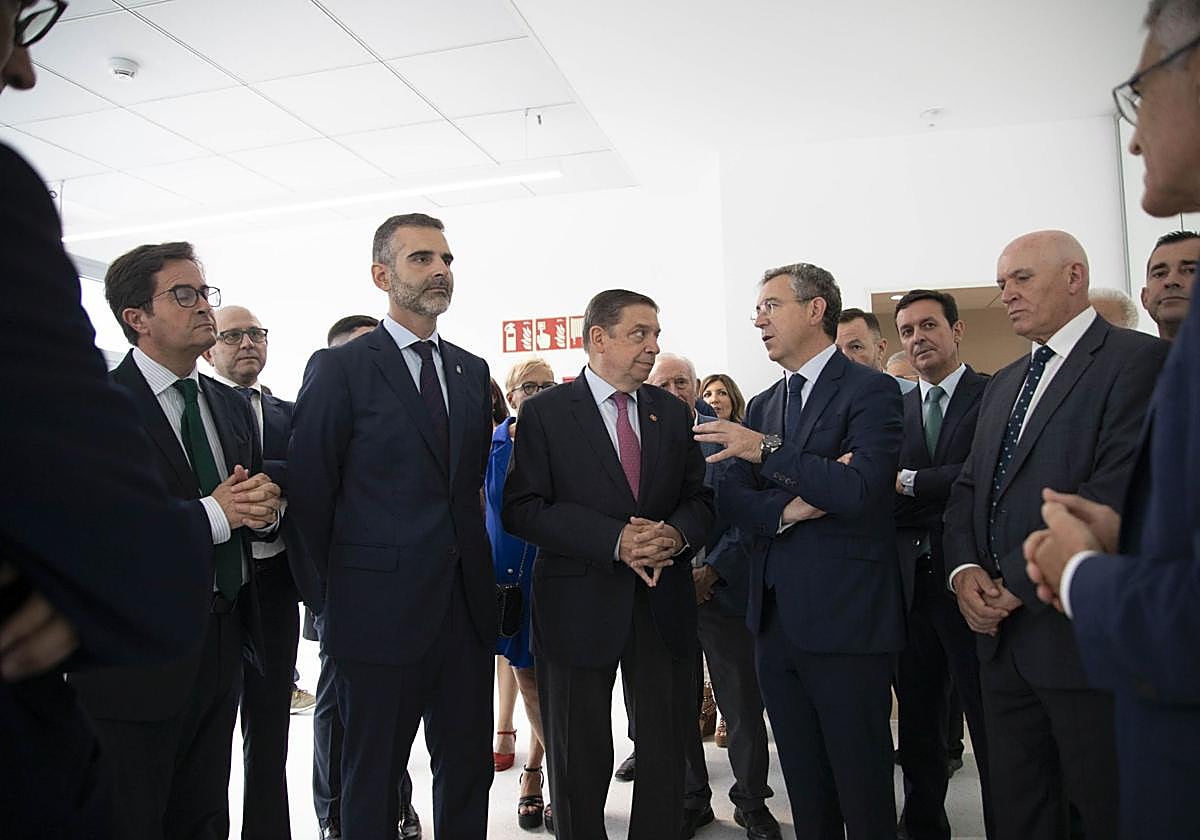 Los 50 años de Las Palmerillas, en un libro