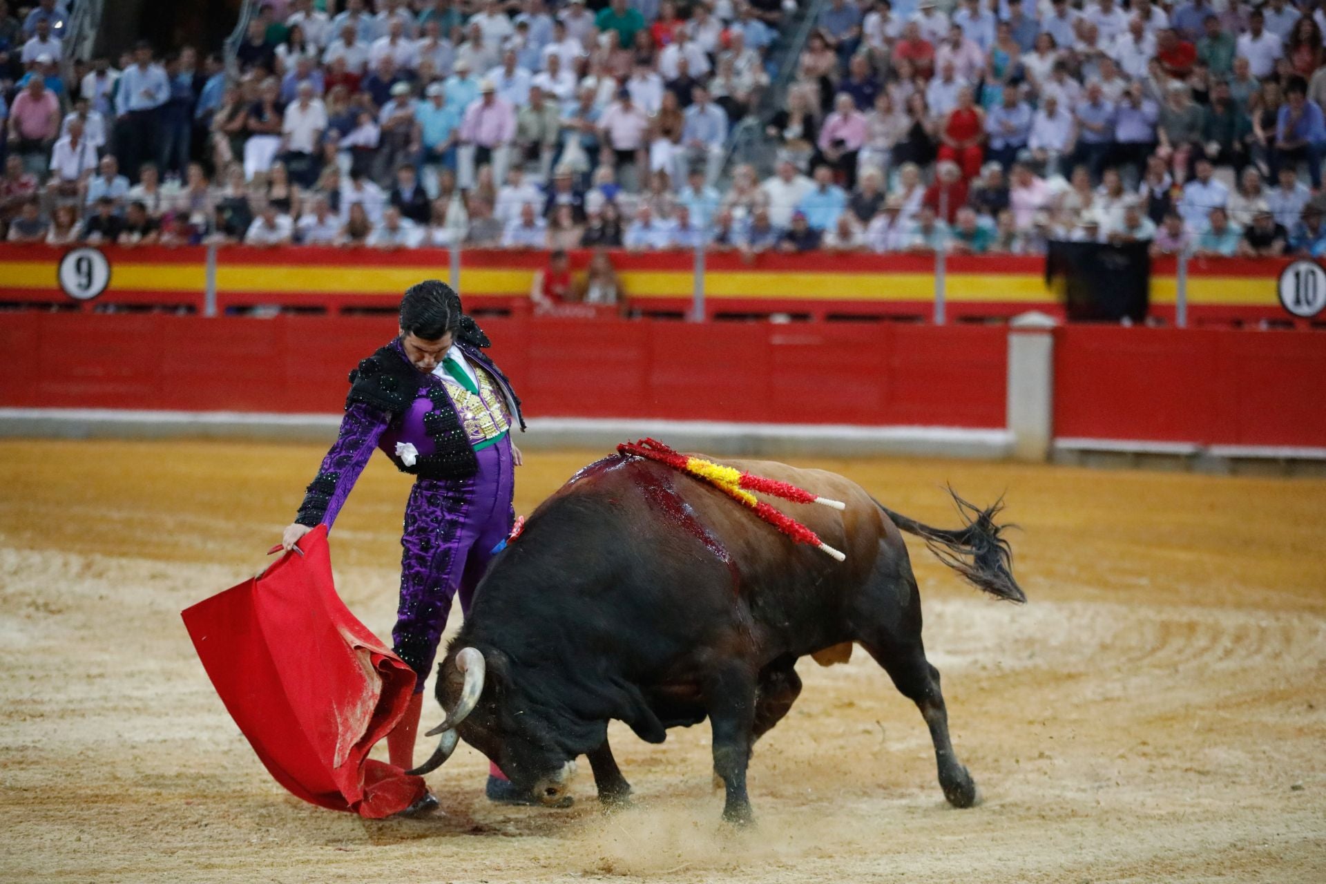 Las mejores imágenes del viernes de Corpus en la Plaza de Toros de Granada