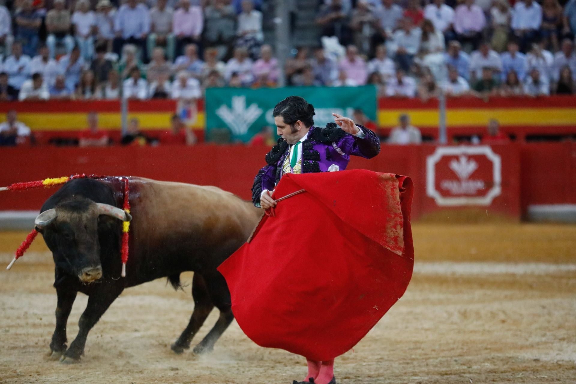 Las mejores imágenes del viernes de Corpus en la Plaza de Toros de Granada