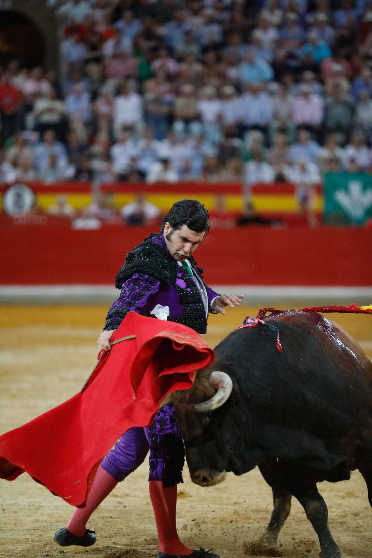 Las mejores imágenes del viernes de Corpus en la Plaza de Toros de Granada