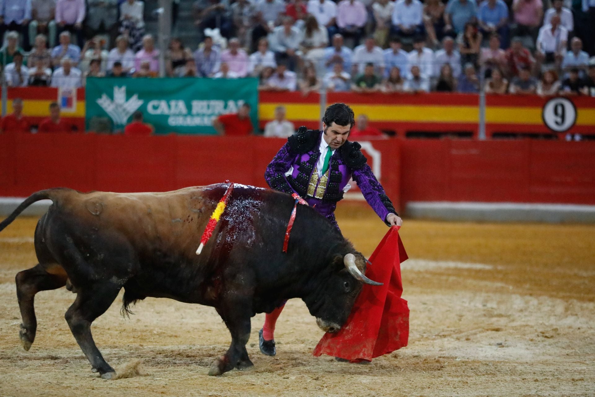 Las mejores imágenes del viernes de Corpus en la Plaza de Toros de Granada