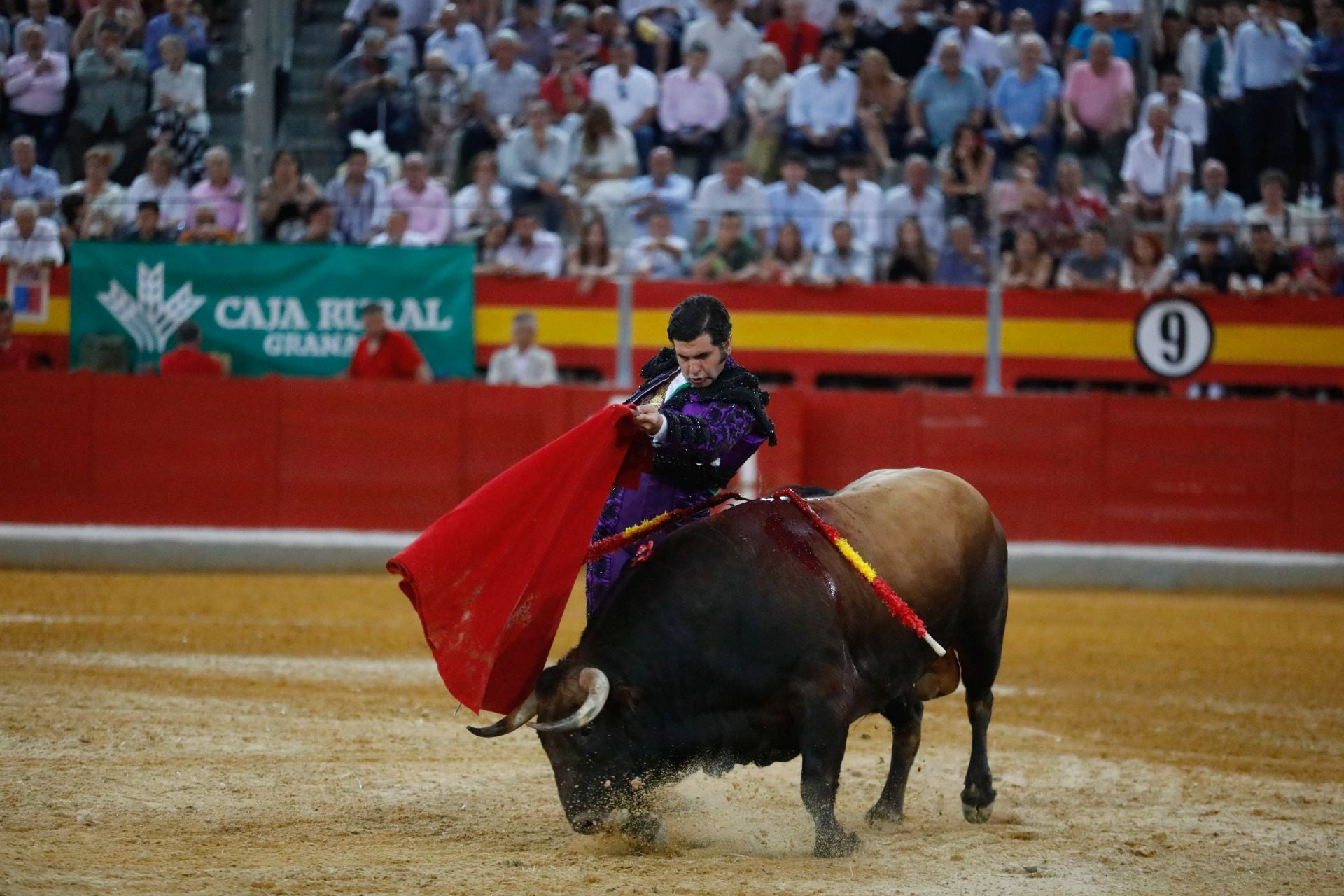 Las mejores imágenes del viernes de Corpus en la Plaza de Toros de Granada
