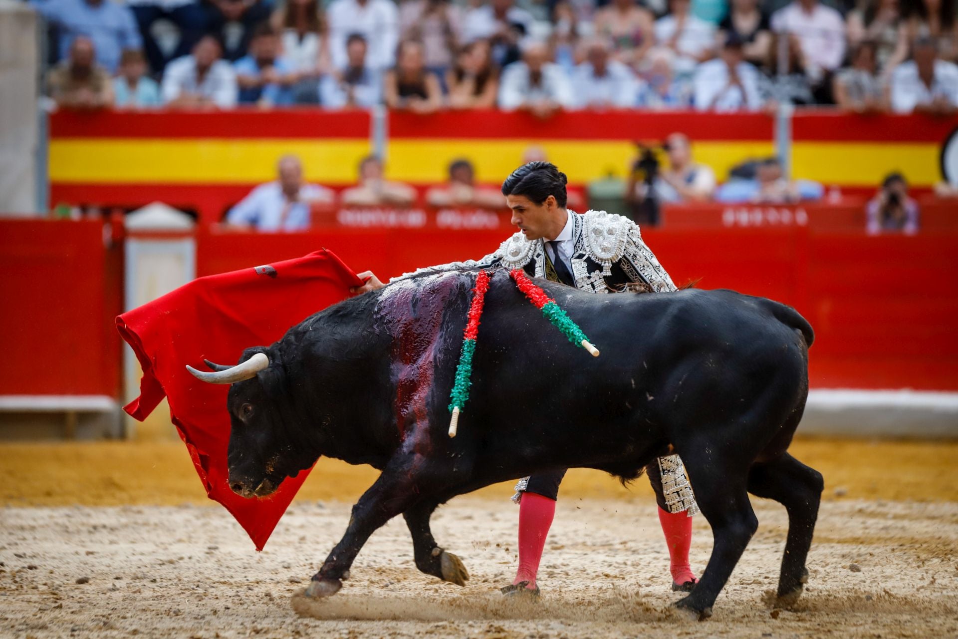 Las mejores imágenes del viernes de Corpus en la Plaza de Toros de Granada