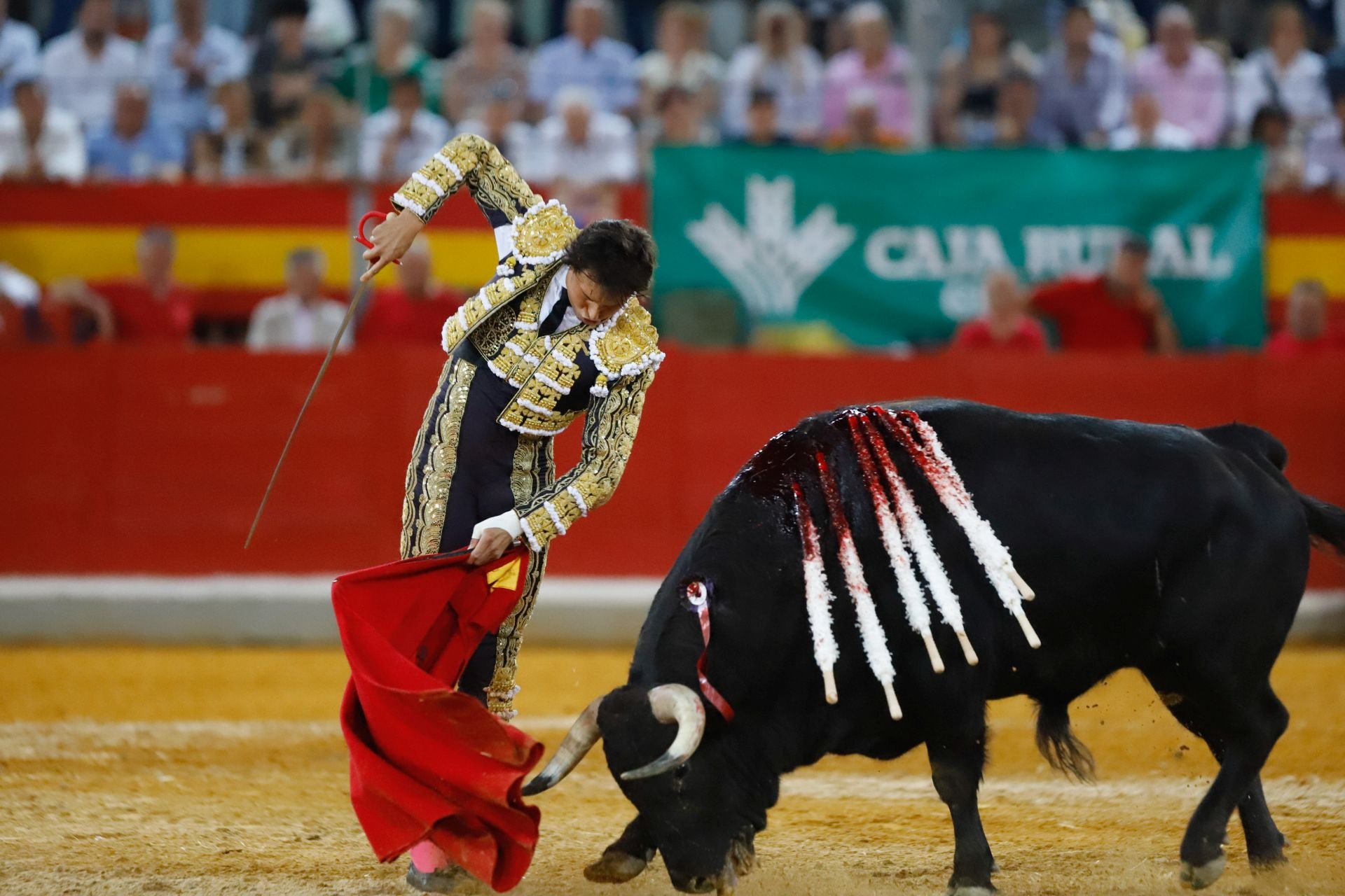 Las mejores imágenes del viernes de Corpus en la Plaza de Toros de Granada